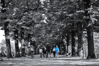 Rear view of people walking in park