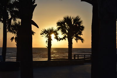 Silhouette palm trees on beach against sky during sunset