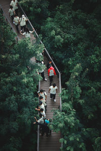 High angle view of children amidst trees on boardwalk at forest