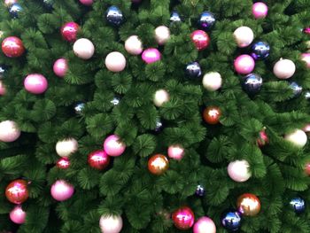 Full frame shot of ornaments on christmas tree