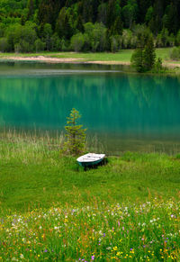 Scenic view of lake by trees