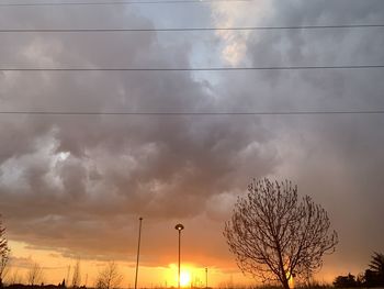 Low angle view of silhouette trees against sky during sunset