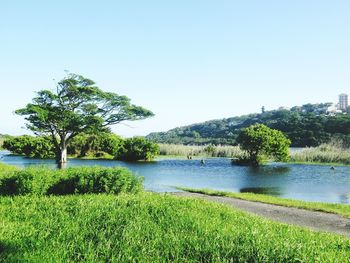 Scenic view of river against clear sky