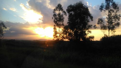 Silhouette trees on field against sky during sunset