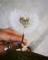 Close-up of hand holding dandelion