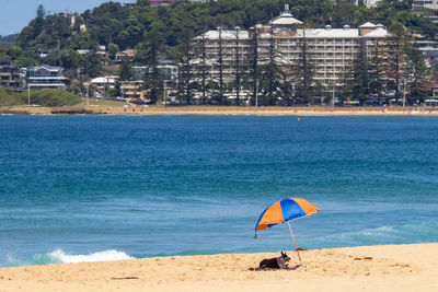 Lifeguard hut on beach