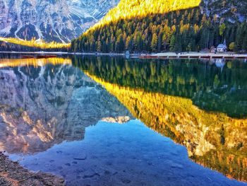 Scenic view of lake by trees during autumn