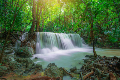 Scenic view of waterfall in forest