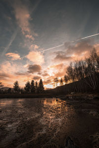 Scenic view of trees against sky during sunset