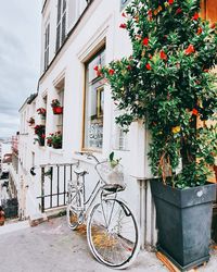 Bicycle by potted plant outside house in paris