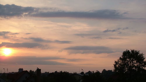 Silhouette of trees at sunset