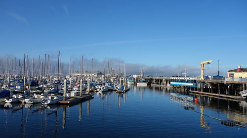 Sailboats moored in harbor against blue sky