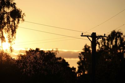 Low angle view of silhouette trees against sky during sunset
