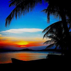 Palm trees at sunset