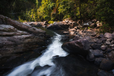 Stream flowing through rocks in forest