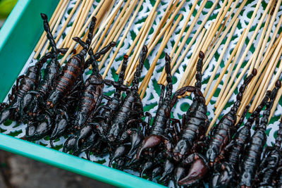 Close-up of fried scorpions in container