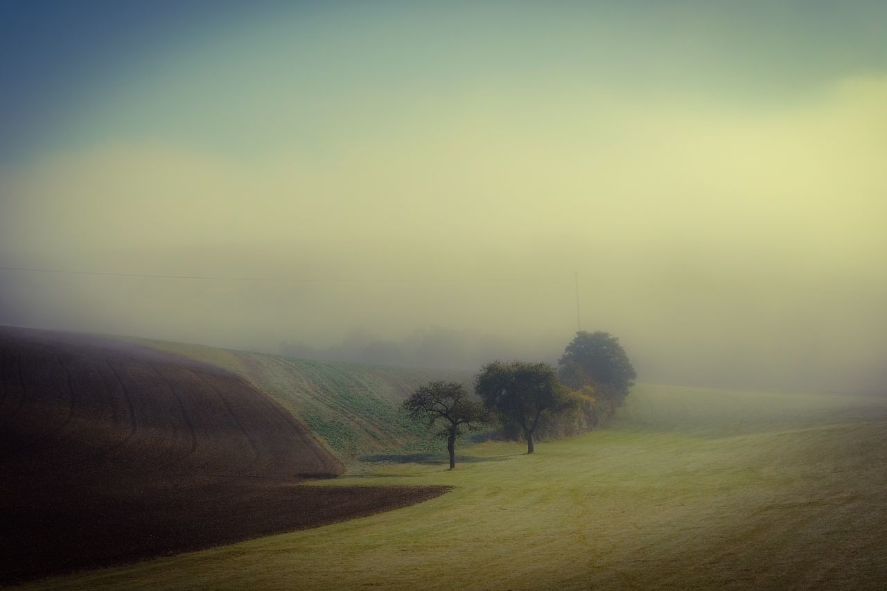 SCENIC VIEW OF AGRICULTURAL FIELD AGAINST SKY DURING SUNSET