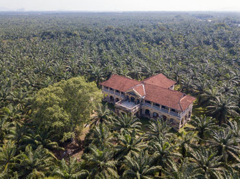 High angle view of trees and buildings