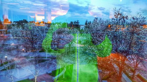 Trees against cloudy sky