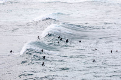 Group of people swimming in sea