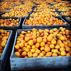 Full frame shot of oranges