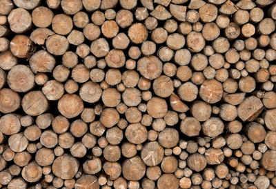 Full frame shot of logs in forest