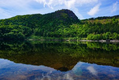 Scenic view of lake by trees against sky