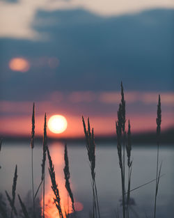 Scenic view of lake against orange sky