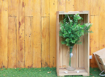 Potted plants against wall of building