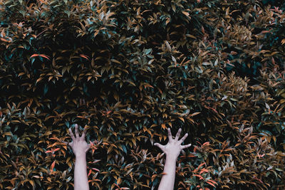 Close-up of hands against plants