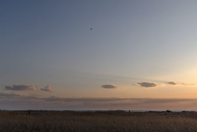 Scenic view of field against sky during sunset