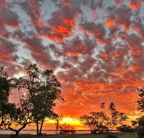 sunset, orange color, sky, scenics, beauty in nature, tranquil scene, tranquility, silhouette, cloud - sky, tree, water, idyllic, nature, dramatic sky, cloud, cloudy, majestic, moody sky, sea, awe