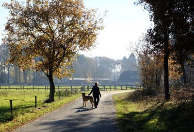 Rear view of mature woman with dog standing on road against sky in park