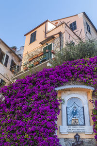 Low angle view of flowering plants by building against clear sky