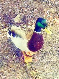 View of built structure