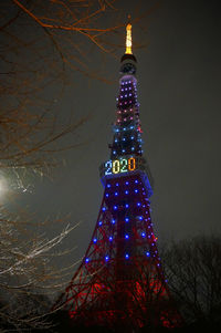 Illuminated christmas tree at night