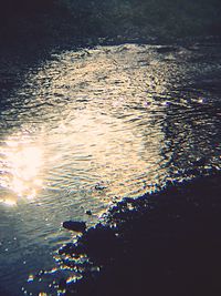 Reflection of trees in water