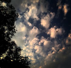 Low angle view of silhouette birds flying against sky