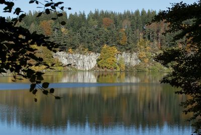 Scenic view of lake by trees during autumn