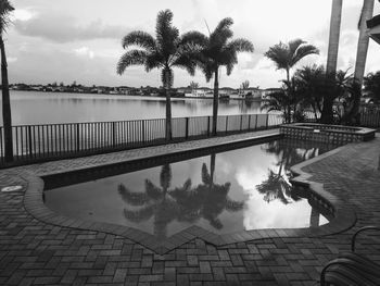 Palm trees by swimming pool against sky