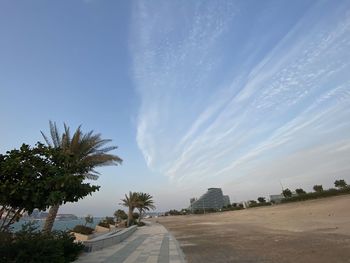 Road by palm trees against blue sky