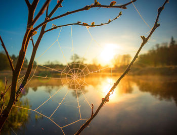 Beautiful foggy spring morning landscape of a river with grass growing in the foreground.