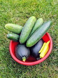 High angle view of vegetables on field