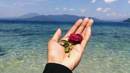 Cropped hand of woman holding flower over sea against sky