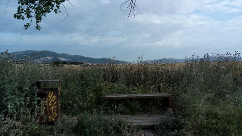 Scenic view of field against sky