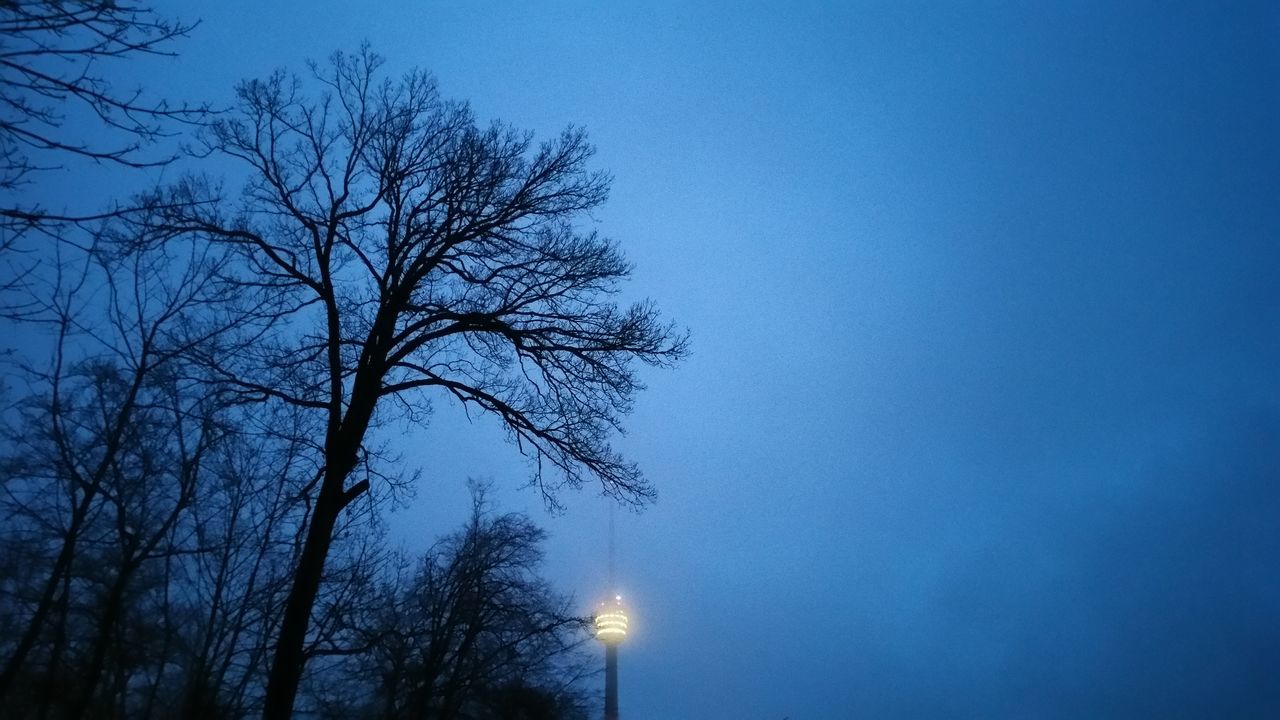 tree, bare tree, low angle view, blue, sky, no people, branch, outdoors, nature, beauty in nature, day