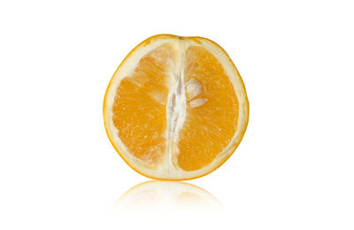 Close-up of lemon slice against white background