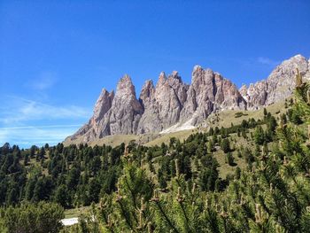 Panoramic shot of trees on mountain against blue sky