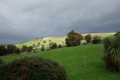 Scenic view of field against sky