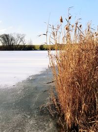 Scenic view of lake against clear sky during winter